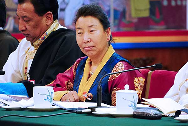 西藏代表團，佩戴習近平像引發關注