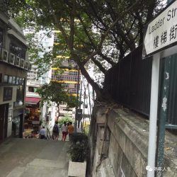 上樓梯街。附近的摩羅上街才是現在香港的小規模古玩攤鋪區域。